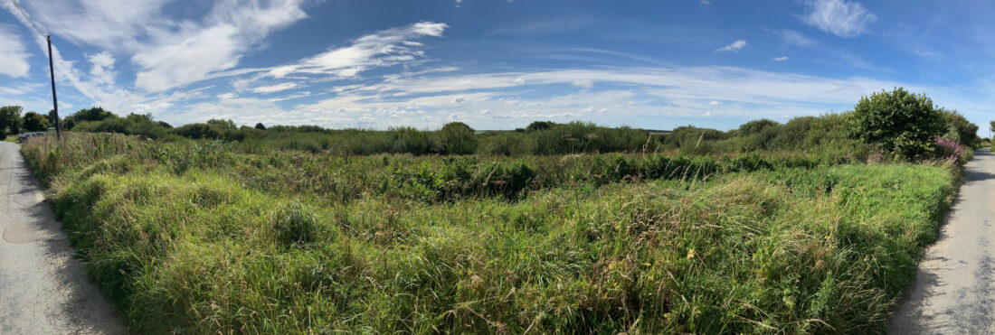 An image showing a panorama of the Meddon Nature reserve.